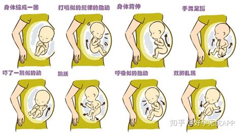 懷孕肚子變化圖 穿肚臍環注意事項